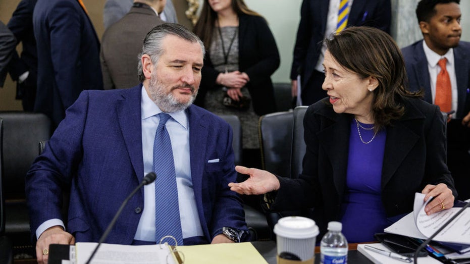 Congress may finally have a bipartisan path forward on college athletics with Cruz-Cantwell legislation Mackay Accountants